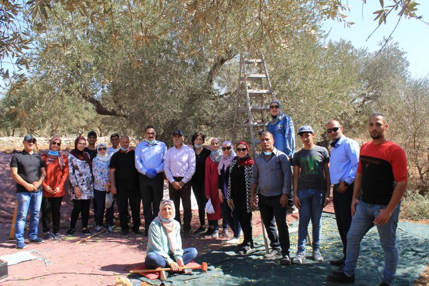 موظفات سلطة الطاقة يشاركن في قطف الزيتون