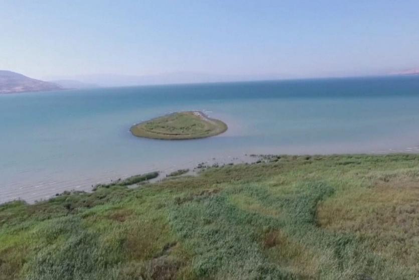 بحيرة طبرية