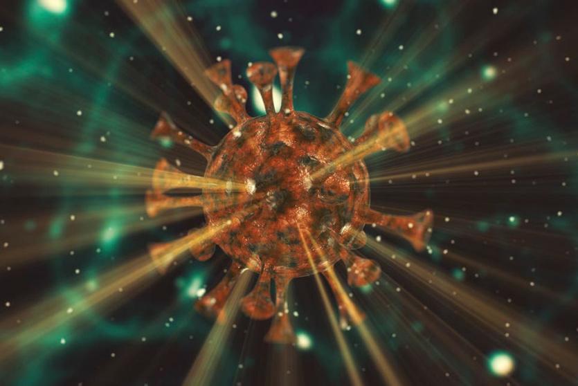 فيروس كورونا