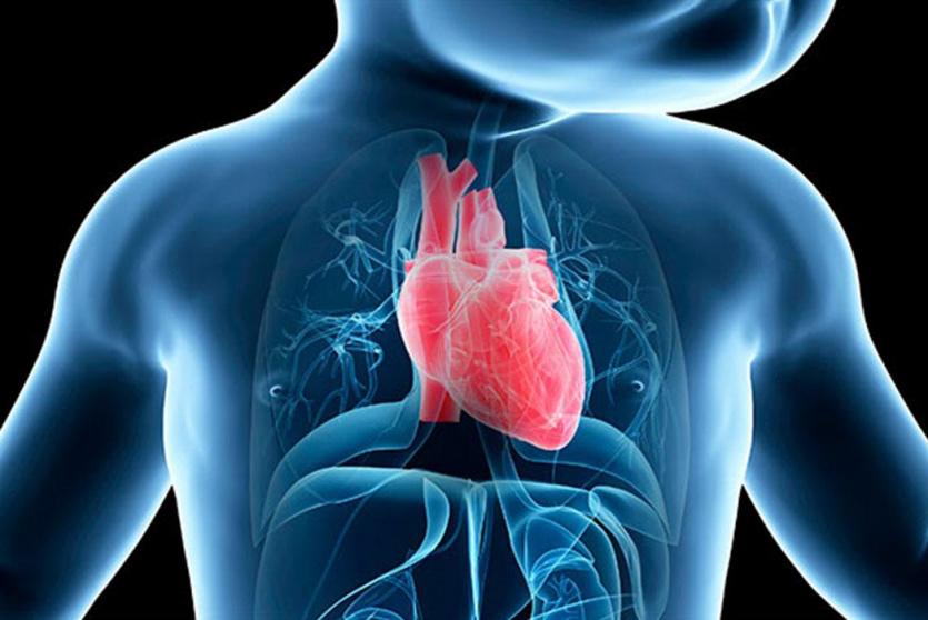 صورة توضيحية