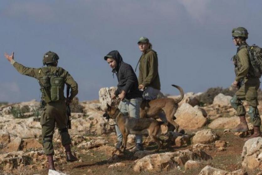 قوات الاحتلال