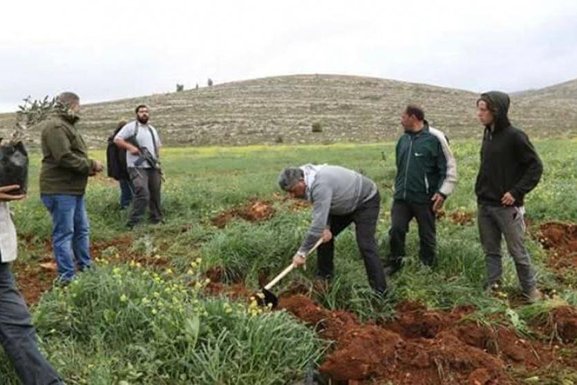 فعالية لزراعة الأشجار -أرشيف-