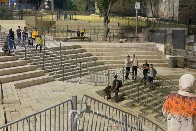 باب العامود