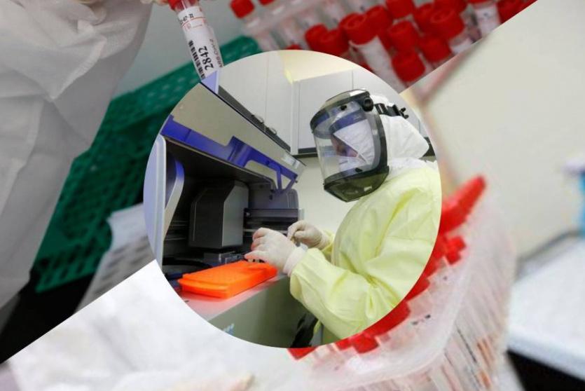 كورونا -تعبيرية-