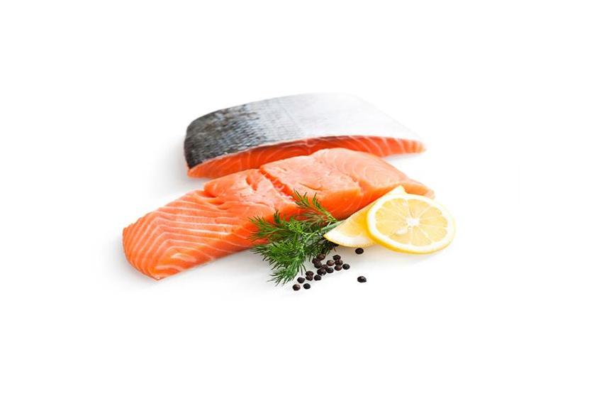 سمك السلمون