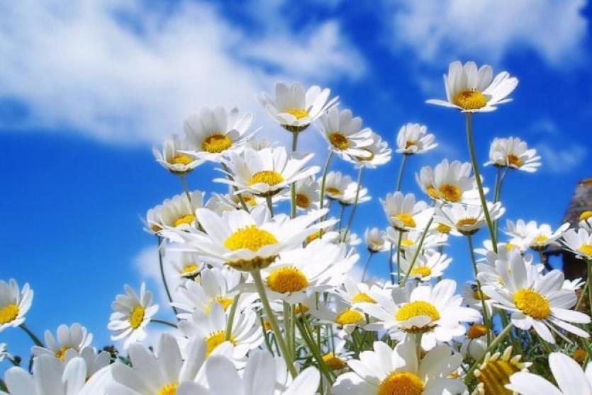 حالة الطقس - أرشيف