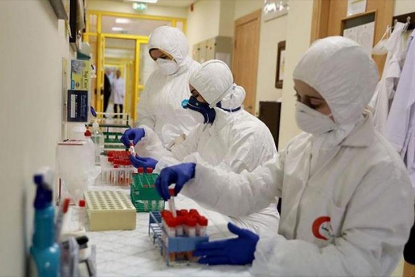 كورونا -تعبيرية-