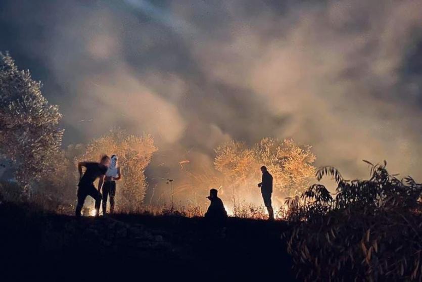 مواجهات بيتا - ارشيف 