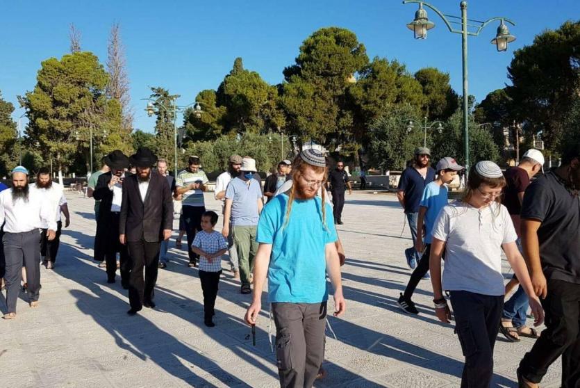 مستوطنون  يقتحمون الأقصى - أرشيف 