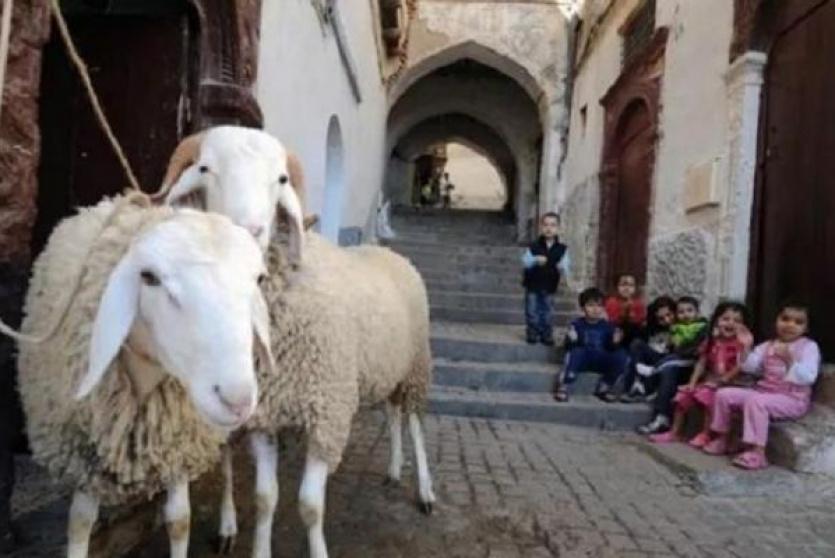 كورونا -تعبيرية-