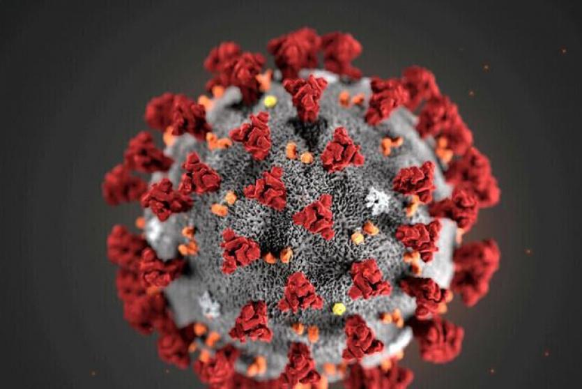 كورونا عالميا- تعبيرية
