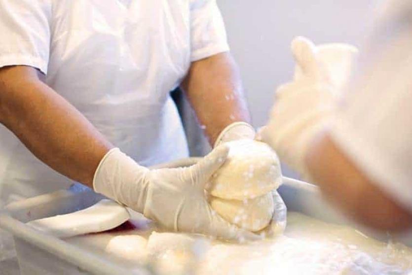 صناعة الأجبان - صورة توضيحية