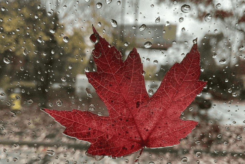 الطقس اليوم