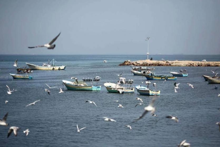 الطقس - أجواء معتدلة