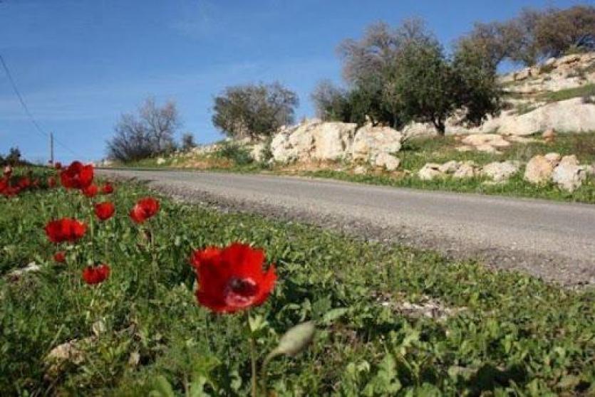 حالة الطقس - أرشيف