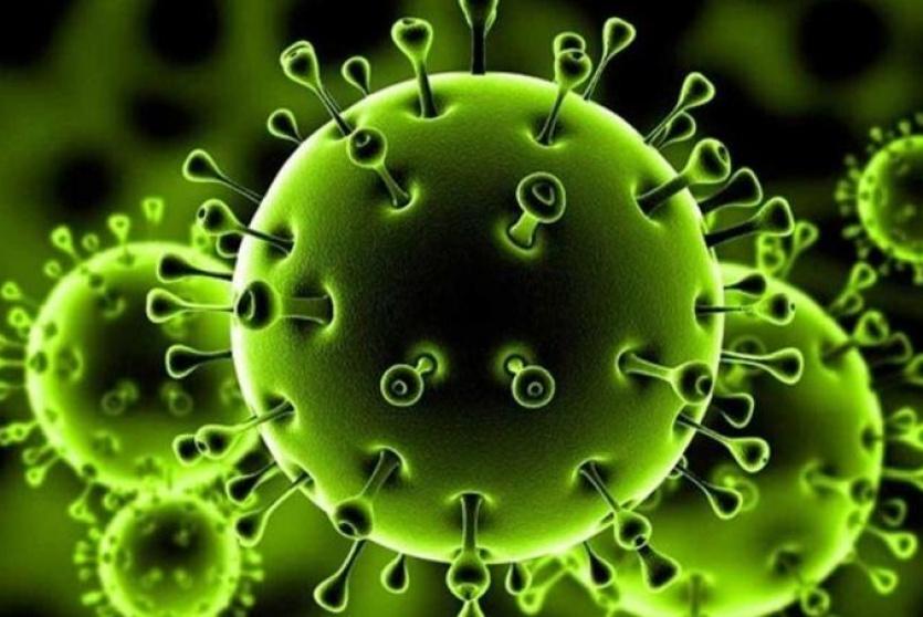 كورونا -تعبيرية-