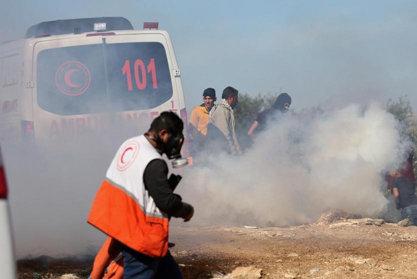 مواجهات بيتا -أرشيف-