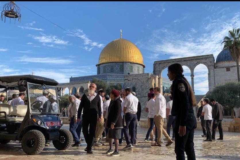 مستوطنون يقتحمون باحات الأقصى -أرشيف-