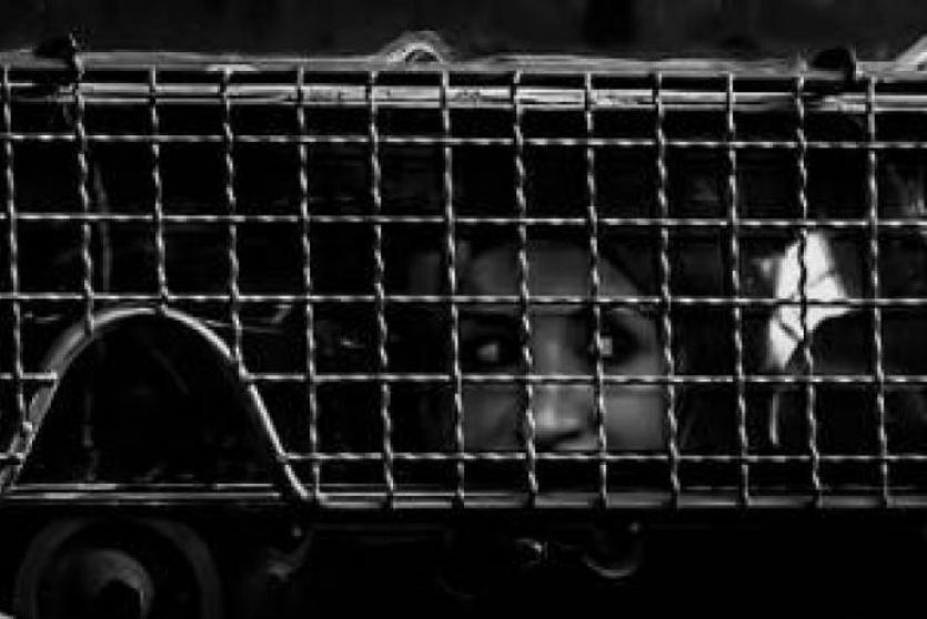 أسيرة فلسطينية -أرشيف-