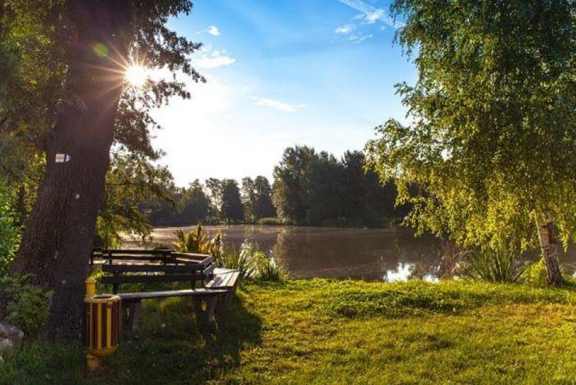 صورة تعبيرية