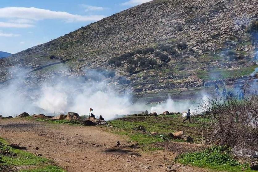 نابلس اليوم 