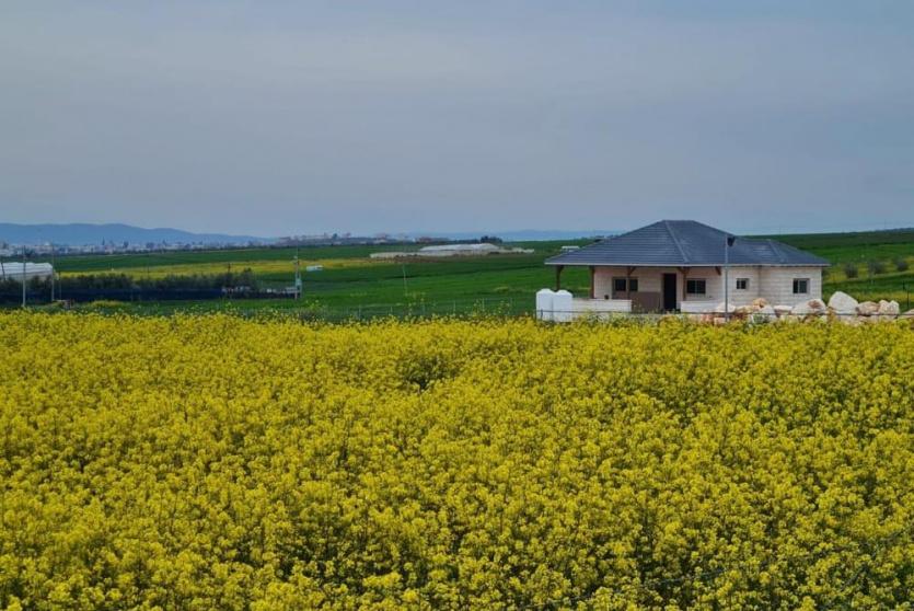 الطقس- أجواء ربيعية