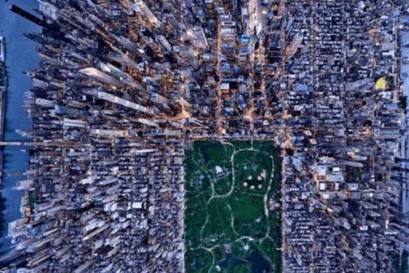 غابة الإسمنت