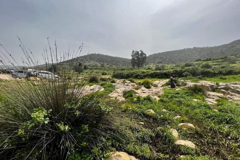 حالة الطقس - أجواء ربيعية