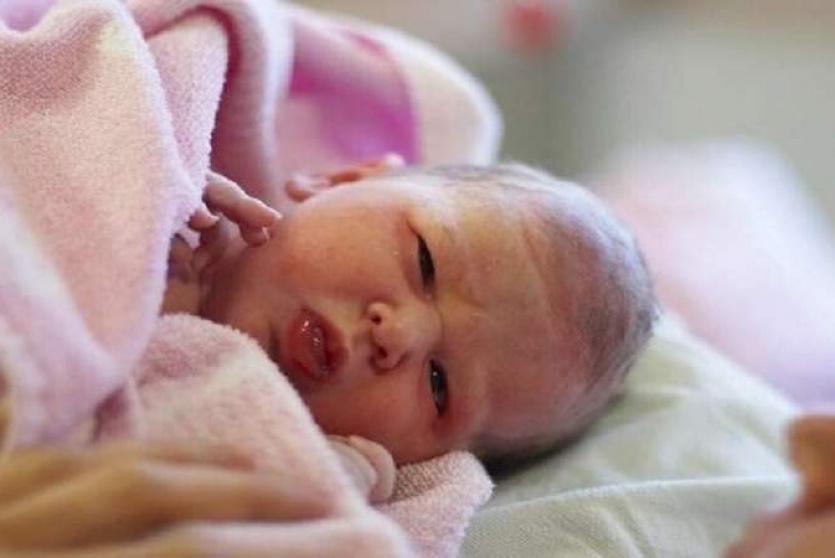 مولود جديد - أرشيف