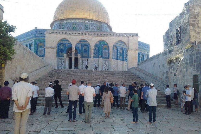 مستوطنون يقتحمون الأقصى صباح اليوم