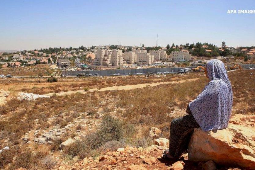 بوسطن: إطلاق خريطة بأسماء وعناوين داعمين للفصل العنصري الإسرائيلي