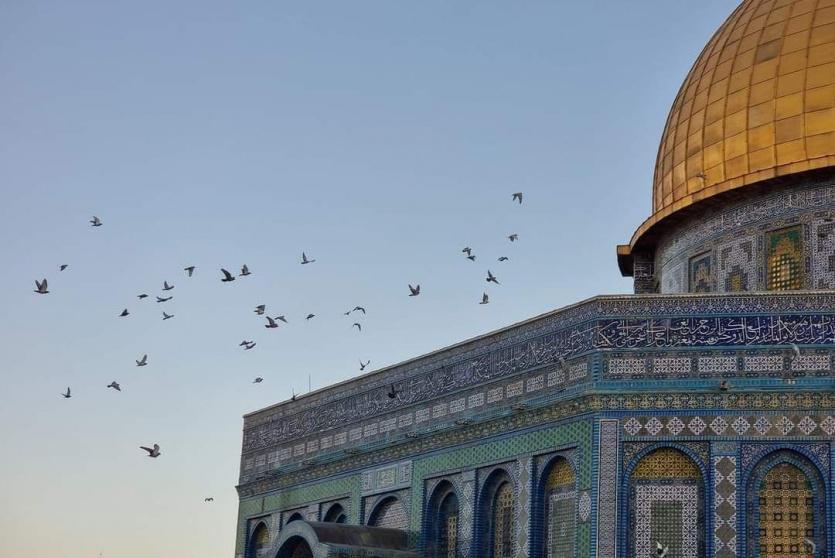 عيد الأضحى 2022 في فلسطين