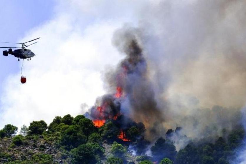 الحرائق تشتعل في غابات بأوروبا (أ.ب)