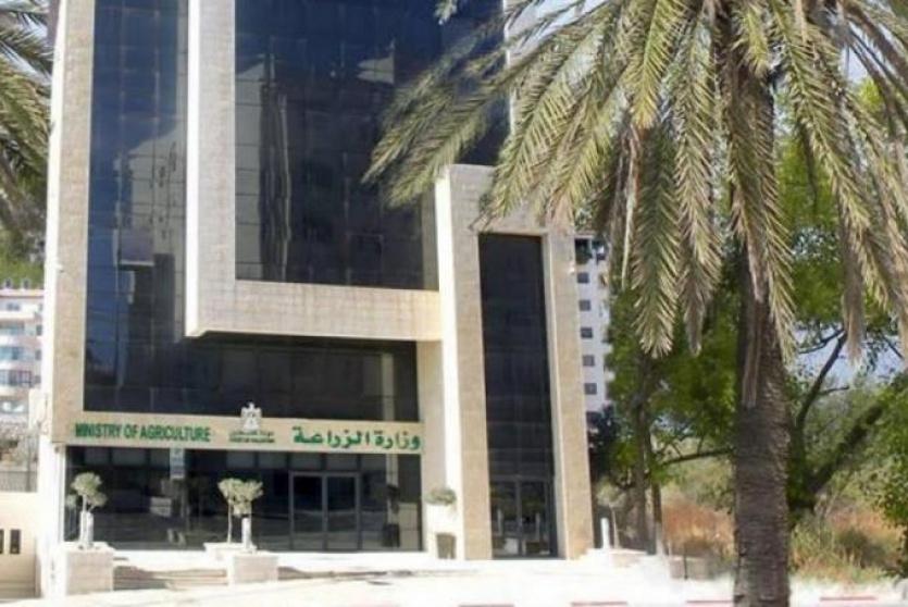 وزارة الزراعة- ارشيف