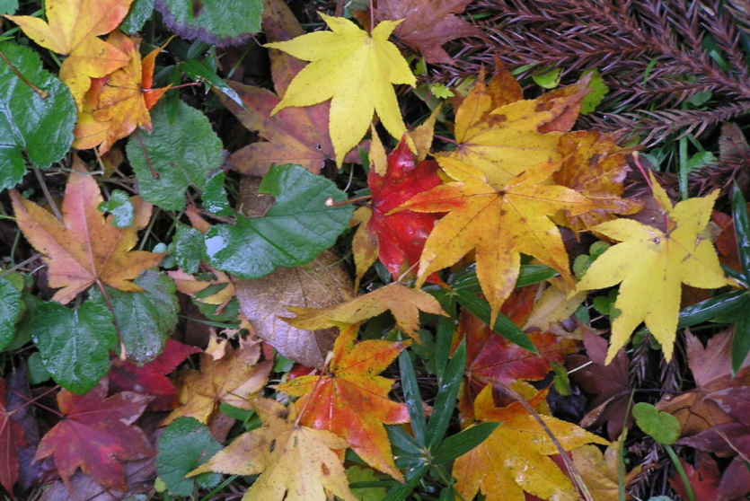 حالة الطقس - أرشيف