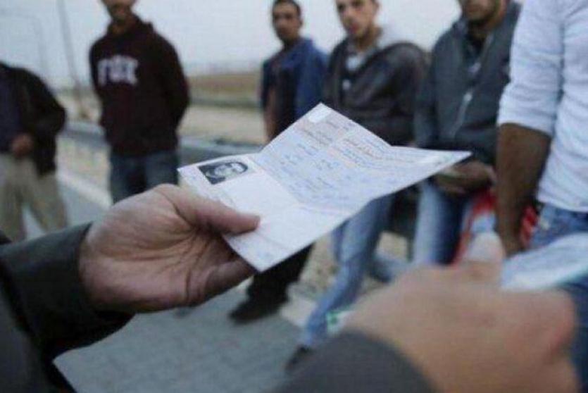 تصاريح عمل - ارشيف 