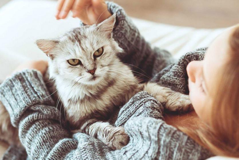 صورة تعبيرية