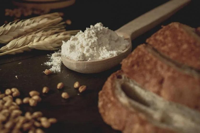 أغذية عديدة تحتوي على سموم فطرية ضارة