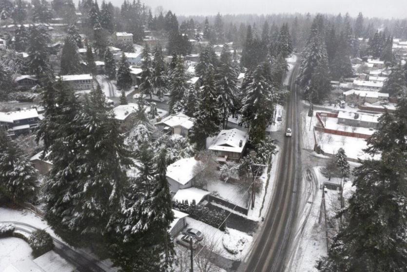 عاصفة ثلجية 