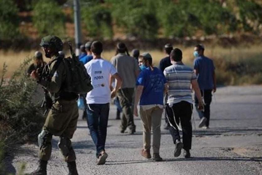 مستوطنين يعتدون على ممتلكات الفلسطينيين بحماية قوات الاحتلال - أرشيف