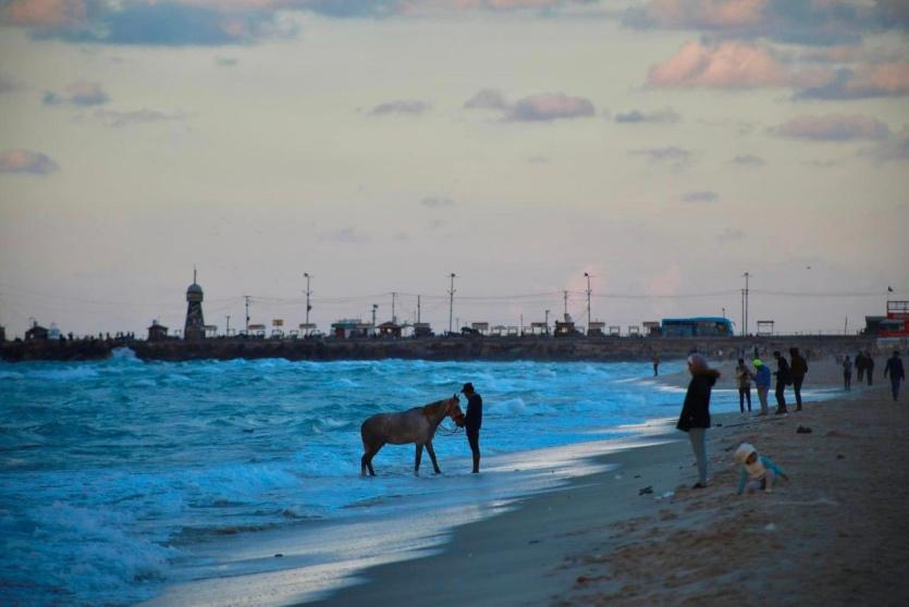 حالة الطقس - أرشيف