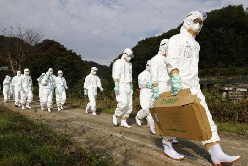 انفلونزا الطيور في اليابان