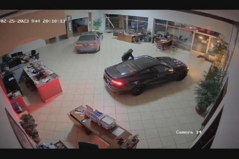 لصوص يسرقون سيارات فاخرة (فيديو)