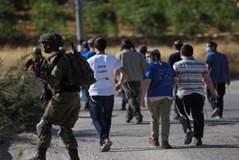 مستوطنون - أرشيف 