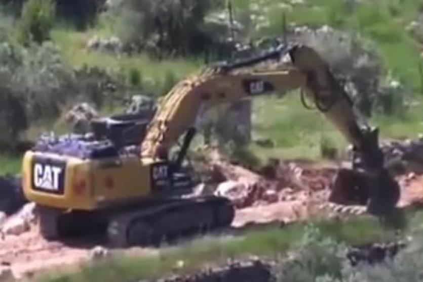 صورة متداولة