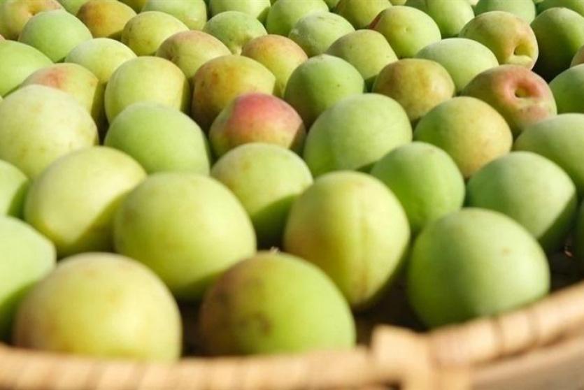 عصير البرقوق الياباني