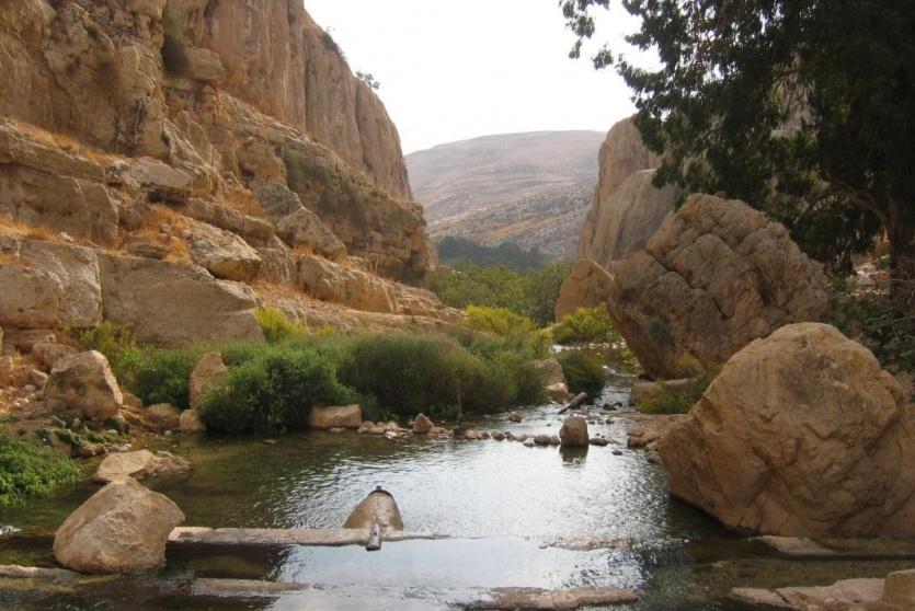 عين فارة (فرات) - ارشيف 