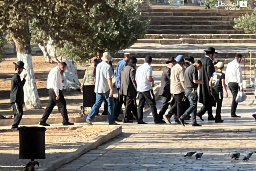 مستوطنون يقتحمون المسجد الأقصى