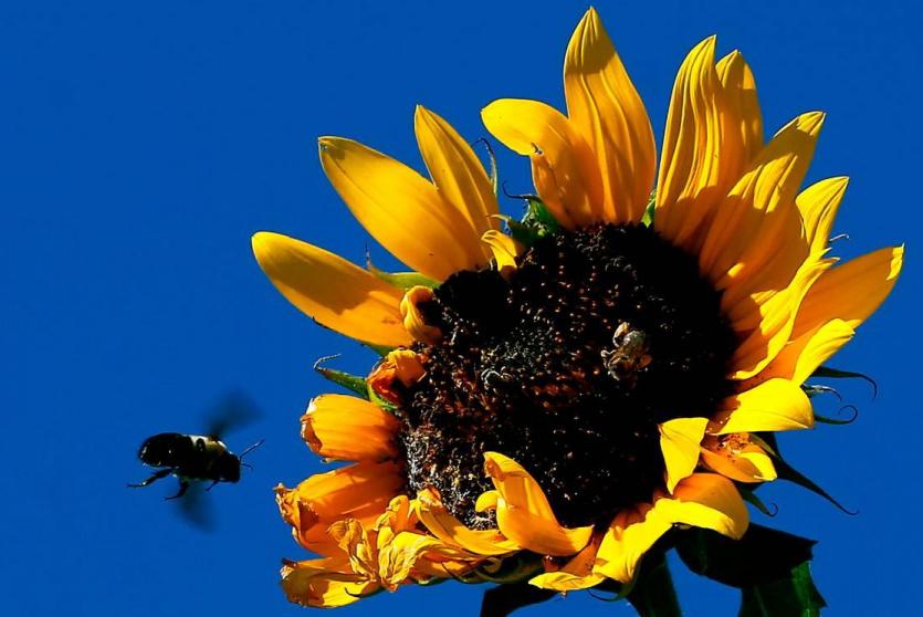 الطقس اليوم 