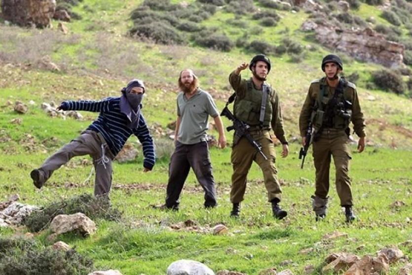 مقاومة الجدار والاستيطان: 1593 اعتداء نفذها الاحتلال ومستوطنوه الشهر الماضي